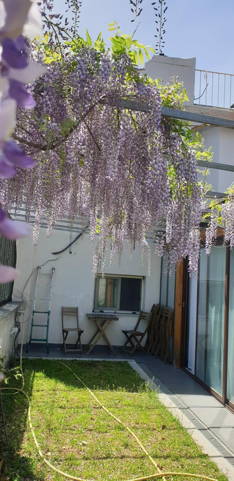 La Casa Di Luigi * CTA